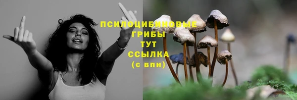 дурь Аркадак
