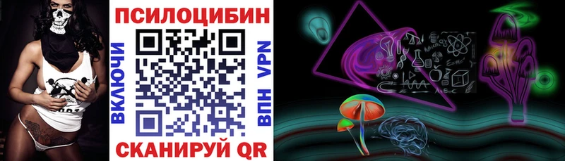 Псилоцибиновые грибы Cubensis  где купить   Суджа 